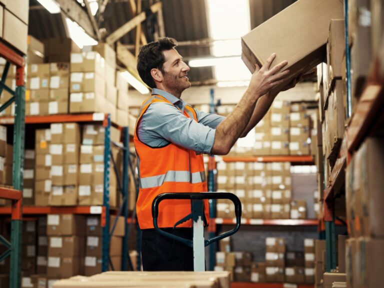 VCA Basic Exam Only in Spanish, Dutch, Romanian